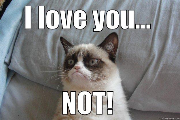 I LOVE YOU... NOT! Grumpy Cat