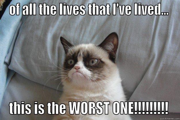 OF ALL THE LIVES THAT I'VE LIVED... THIS IS THE WORST ONE!!!!!!!!! Grumpy Cat