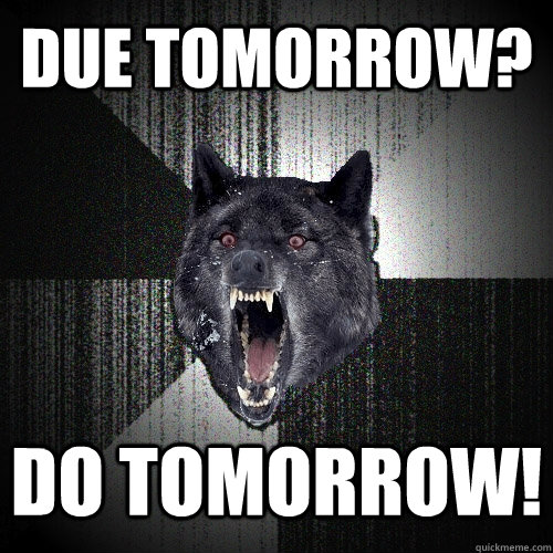 Due tomorrow? DO TOMORROW! - Due tomorrow? DO TOMORROW!  Insanity Wolf