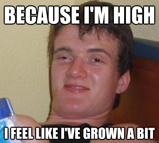 Because I'm high I feel like I've grown a bit   10 Guy