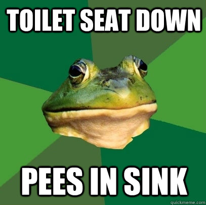 Toilet Seat down Pees in sink  Foul Bachelor Frog