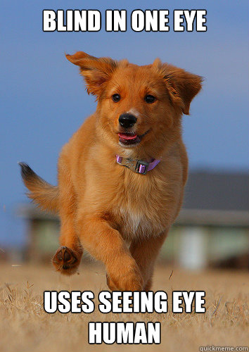 Blind in one eye Uses seeing eye human  Ridiculously Photogenic Puppy