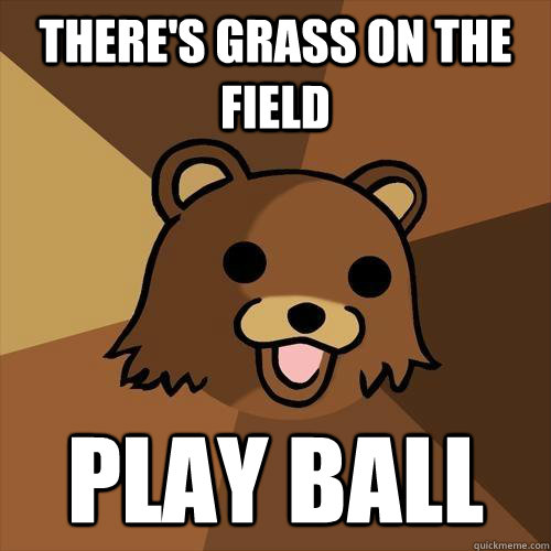 There's Grass on the field Play ball  Pedobear