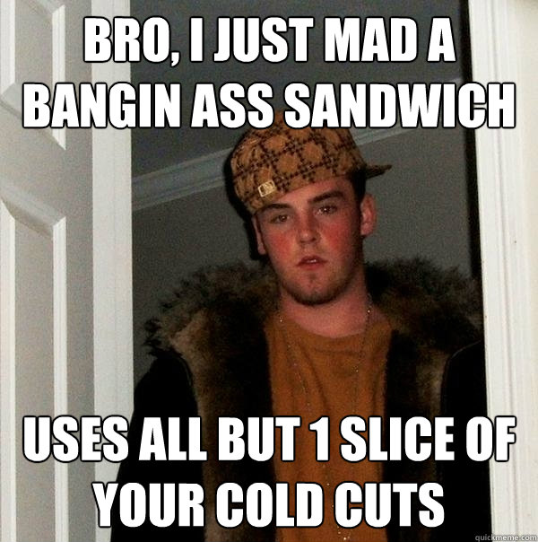 Bro, I just mad a bangin ass sandwich Uses all but 1 slice of your cold cuts  Scumbag Steve