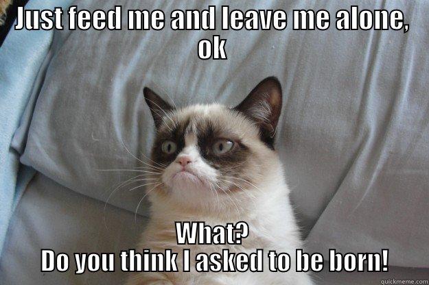 JUST FEED ME AND LEAVE ME ALONE, OK WHAT?  DO YOU THINK I ASKED TO BE BORN! Grumpy Cat