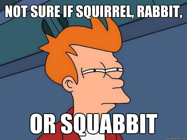 Not sure if squirrel, rabbit, Or squabbit  Futurama Fry