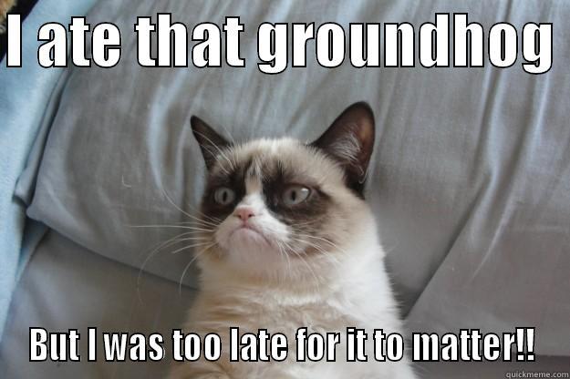 I ATE THAT GROUNDHOG  BUT I WAS TOO LATE FOR IT TO MATTER!! Grumpy Cat