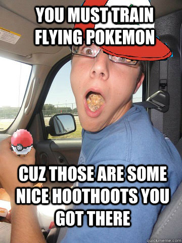 You must train flying pokemon Cuz those are some nice hoothoots you got there  