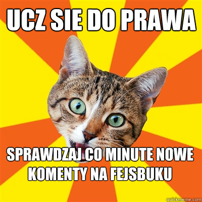 Ucz sie do prawa Sprawdzaj co minute nowe komenty na fejsbuku  Bad Advice Cat