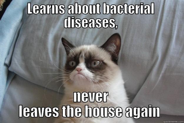 LEARNS ABOUT BACTERIAL DISEASES, NEVER LEAVES THE HOUSE AGAIN  Grumpy Cat