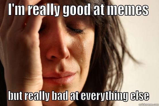 I'M REALLY GOOD AT MEMES BUT REALLY BAD AT EVERYTHING ELSE First World Problems