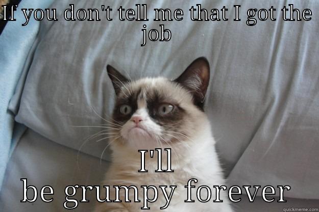 IF YOU DON'T TELL ME THAT I GOT THE JOB I'LL BE GRUMPY FOREVER Grumpy Cat