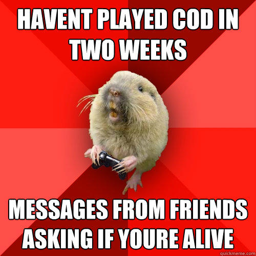 havent played cod in two weeks messages from friends asking if youre alive  