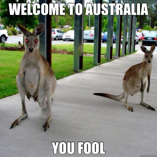 WELCOME TO AUSTRALIA YOU FOOL - WELCOME TO AUSTRALIA YOU FOOL  Evil Kangaroo