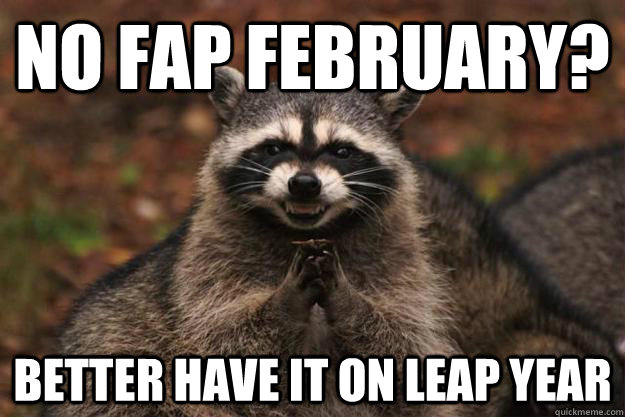 No fap February?  Better have it on leap year  Evil Plotting Raccoon