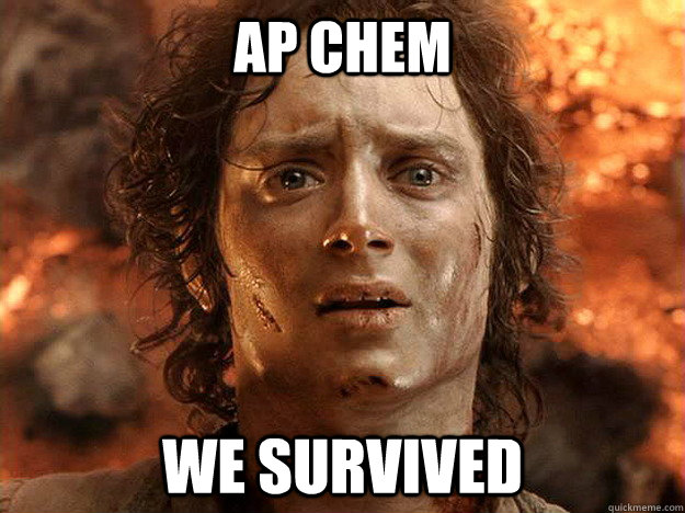 AP CHEM WE SURVIVED  frodo