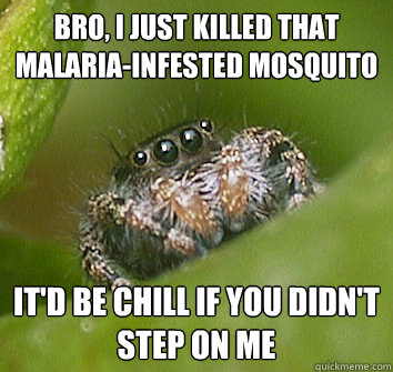 bro, i just killed that malaria-infested mosquito it'd be chill if you didn't step on me  Misunderstood Spider