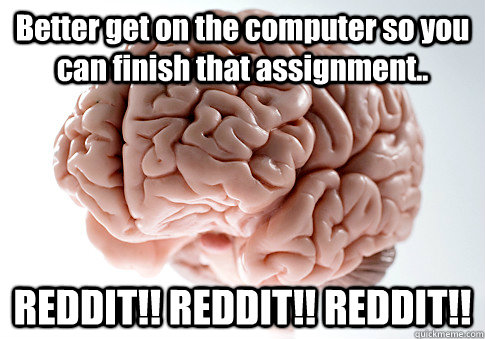 Better get on the computer so you can finish that assignment.. REDDIT!! REDDIT!! REDDIT!!   Scumbag Brain