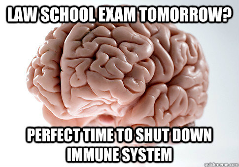 law school exam tomorrow? perfect time to shut down immune system  Scumbag Brain