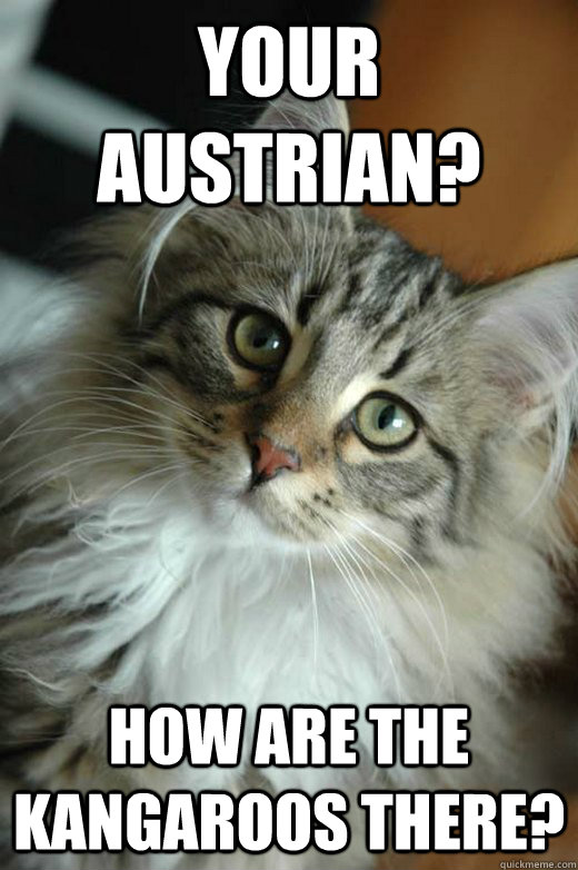 Your austrian? how are the kangaroos there? - Your austrian? how are the kangaroos there?  Racially oblivious kitten