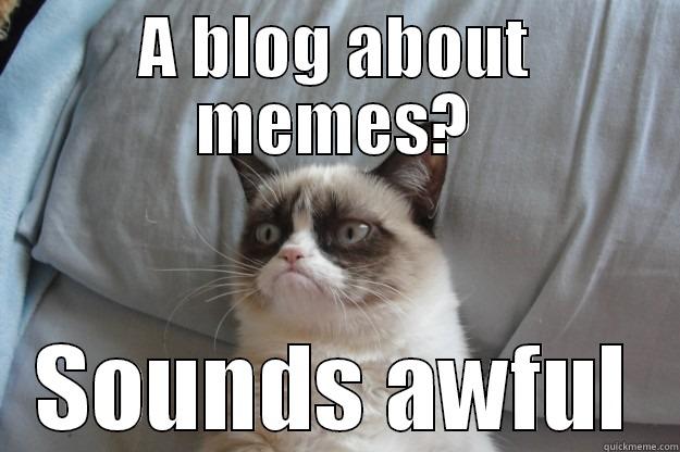 A BLOG ABOUT MEMES? SOUNDS AWFUL Grumpy Cat