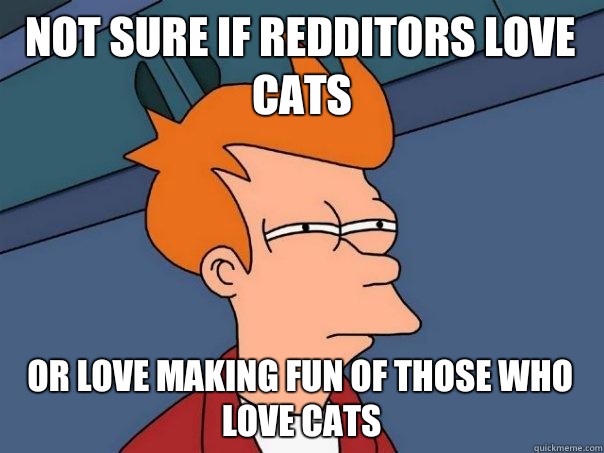 not sure if redditors love cats or love making fun of those who love cats  Futurama Fry