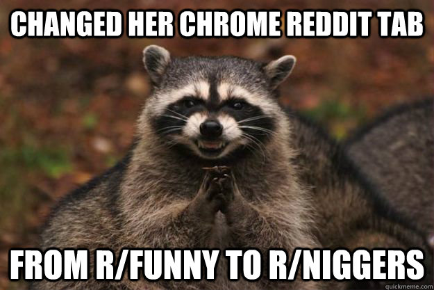 Changed her Chrome reddit tab from r/funny to r/niggers  Evil Plotting Raccoon