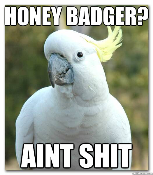 Honey Badger? Aint Shit  Cocky Cockatoo