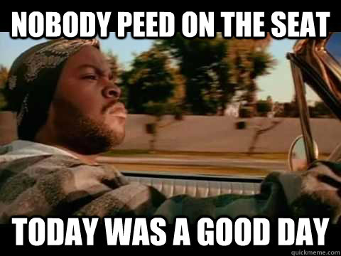 Nobody peed on the seat Today was a good day  ice cube good day