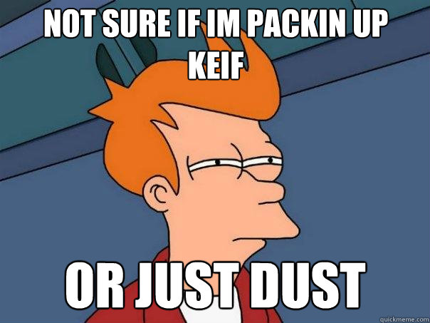 Not sure if im packin up   keif  Or just dust  Futurama Fry