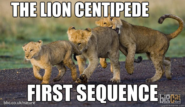 The lion centipede First Sequence - The lion centipede First Sequence  The Lion Centipede