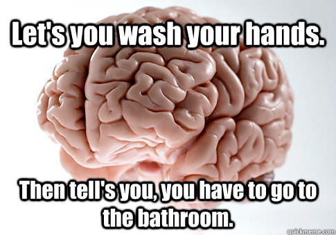 Let's you wash your hands. Then tell's you, you have to go to the bathroom.  Scumbag Brain