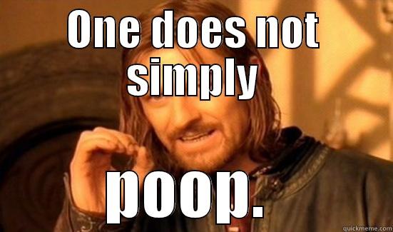 ONE DOES NOT SIMPLY POOP.  Boromir