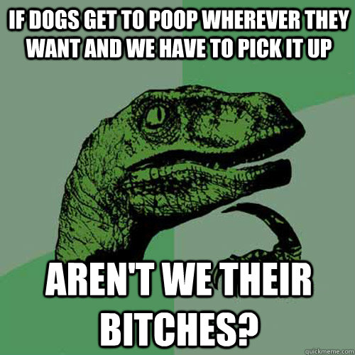 If dogs get to poop wherever they want and we have to pick it up Aren't we their Bitches?  Philosoraptor