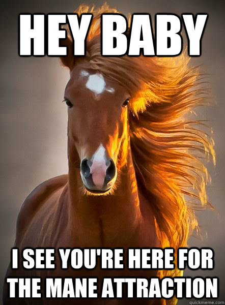 hey baby i see you're here for the mane attraction  Ridiculously Photogenic Horse