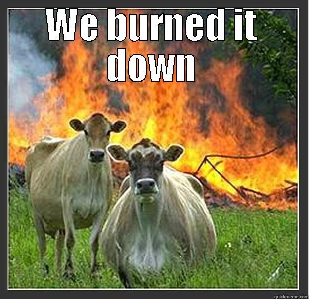 We burned it down - WE BURNED IT DOWN  Evil cows