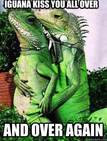 iguana kiss you all over and over again  