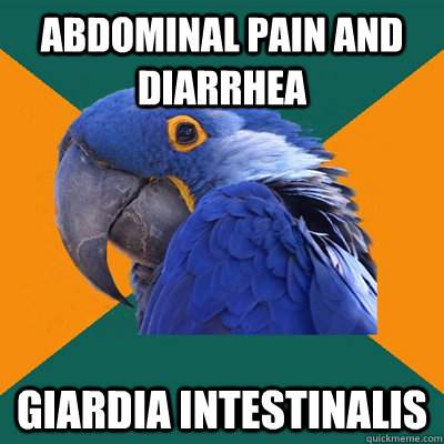 Abdominal Pain and diarrhea Giardia Intestinalis - Abdominal Pain and diarrhea Giardia Intestinalis  Paranoid Parrot