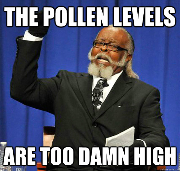 The pollen levels Are too damn high  Jimmy McMillan