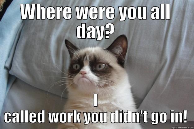 WHERE WERE YOU ALL DAY? I CALLED WORK YOU DIDN'T GO IN! Grumpy Cat