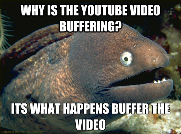 why is the youtube video buffering? its what happens buffer the video - why is the youtube video buffering? its what happens buffer the video  Bad Joke Eel