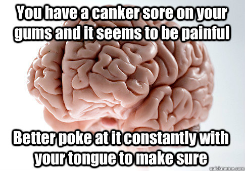 You have a canker sore on your gums and it seems to be painful Better poke at it constantly with your tongue to make sure  Scumbag Brain