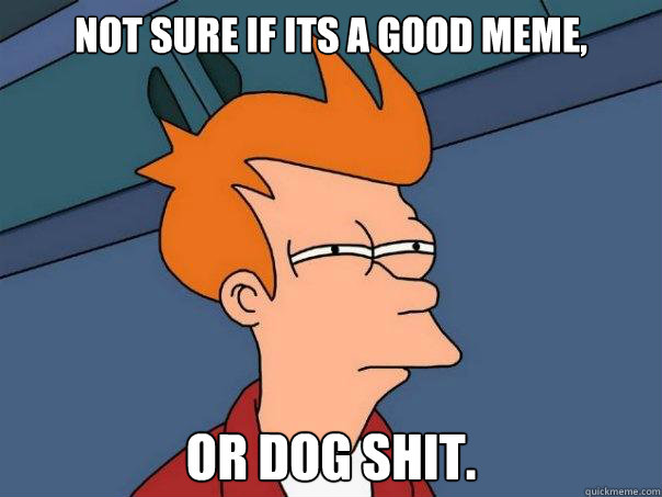 Not sure if its a good meme, Or dog shit.   Futurama Fry