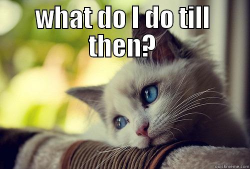 50 Days till Dragon con... - WHAT DO I DO TILL THEN?  First World Problems Cat