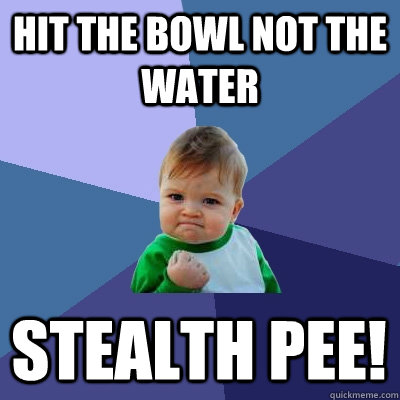 Hit the bowl not the water Stealth Pee!  Success Kid