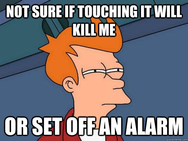 Not sure if touching it will kill me Or set off an alarm  Futurama Fry