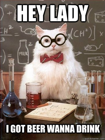 Hey LADY I GOT BEER WANNA DRINK Caption 3 goes here  Chemistry Cat