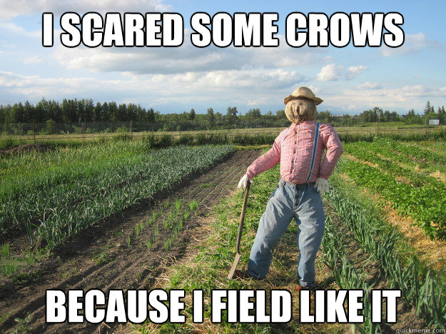 I scared some crows because i field like it  Scarecrow