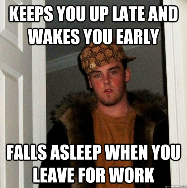 Keeps you up late and wakes you early Falls asleep when you leave for work  Scumbag Steve