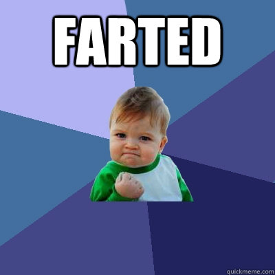 farted   Success Kid